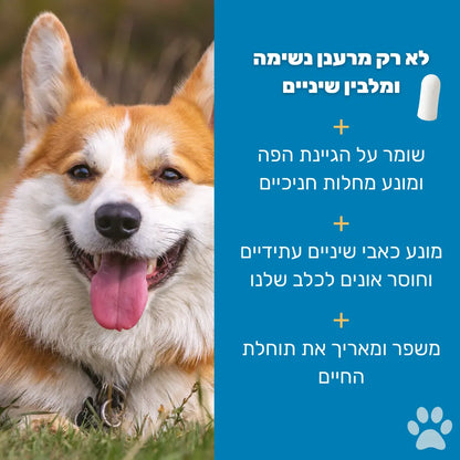מגבוני אצבע דנטליים לניקוי שיניים לכלבים - סדרת Pure